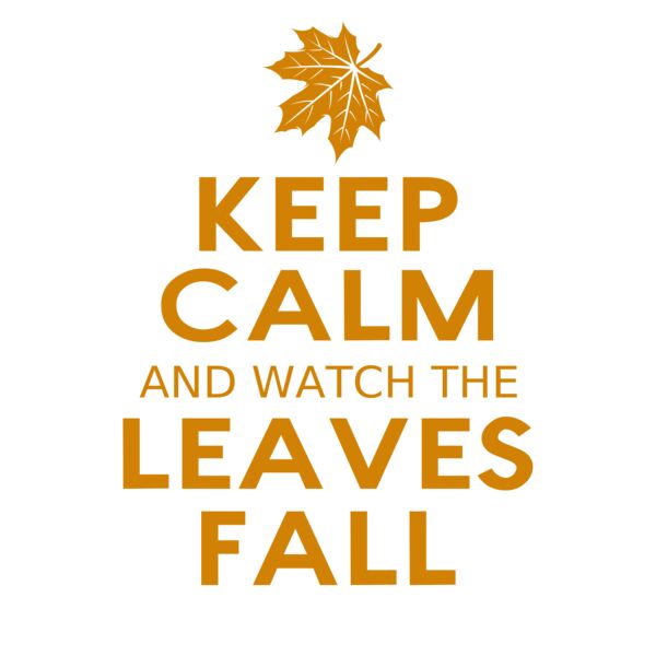 Fall Season 04 Thumbnail