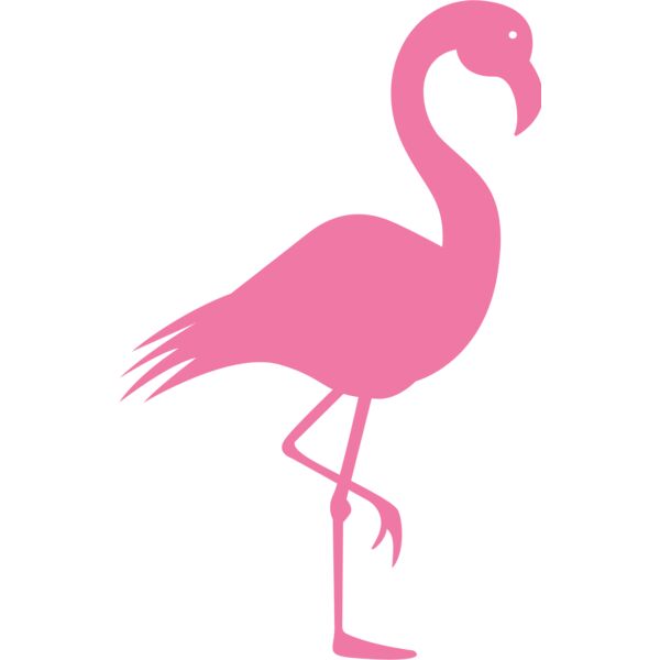 Flamingo 01 Thumbnail