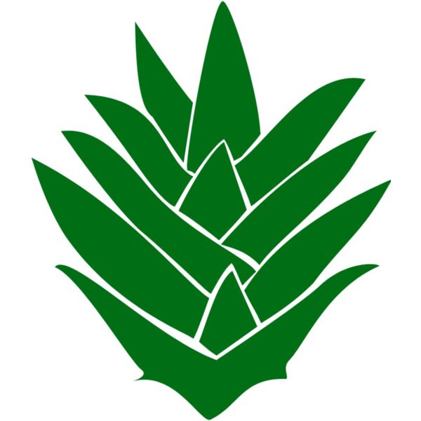 pineapple 05 Thumbnail