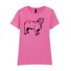 Softstyle™ women's ringspun t-shirt Thumbnail